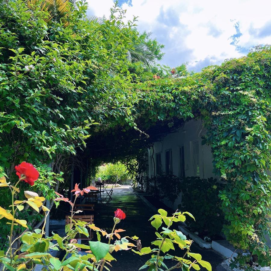 Garden Villa Naza Piqeras Εξωτερικό φωτογραφία