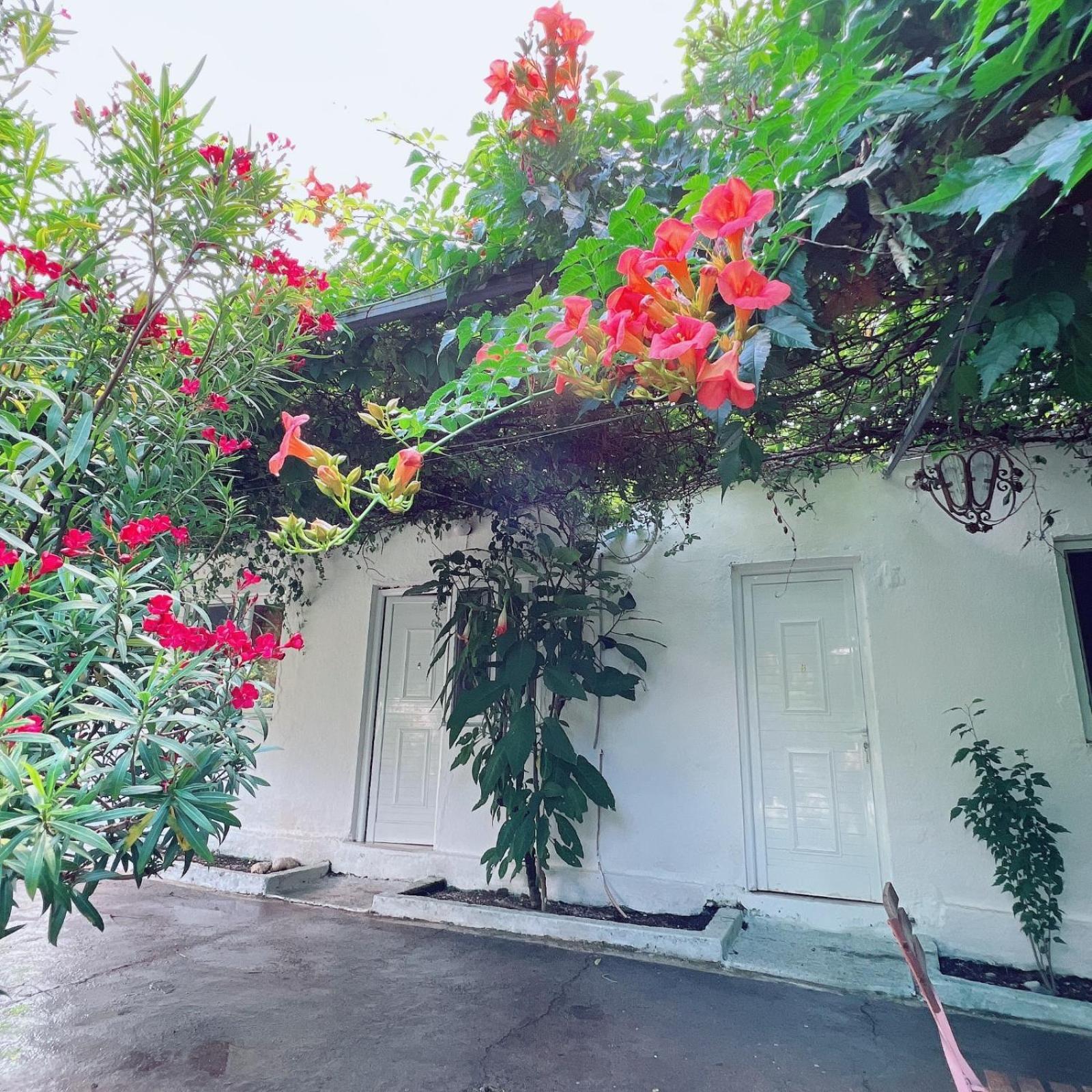 Garden Villa Naza Piqeras Εξωτερικό φωτογραφία
